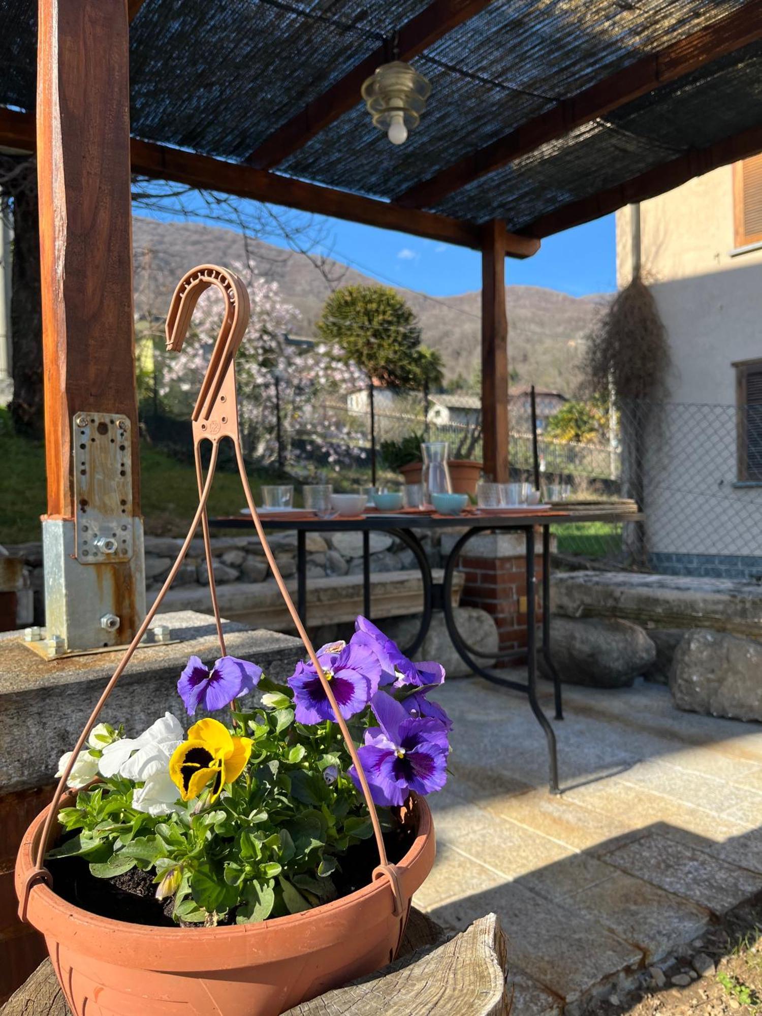 Appartamento Turistico - Via Montenudo Casalzuigno Eksteriør billede